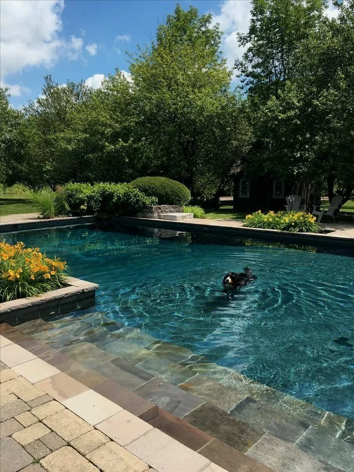 Luxury Backyard Pool Ideas 47