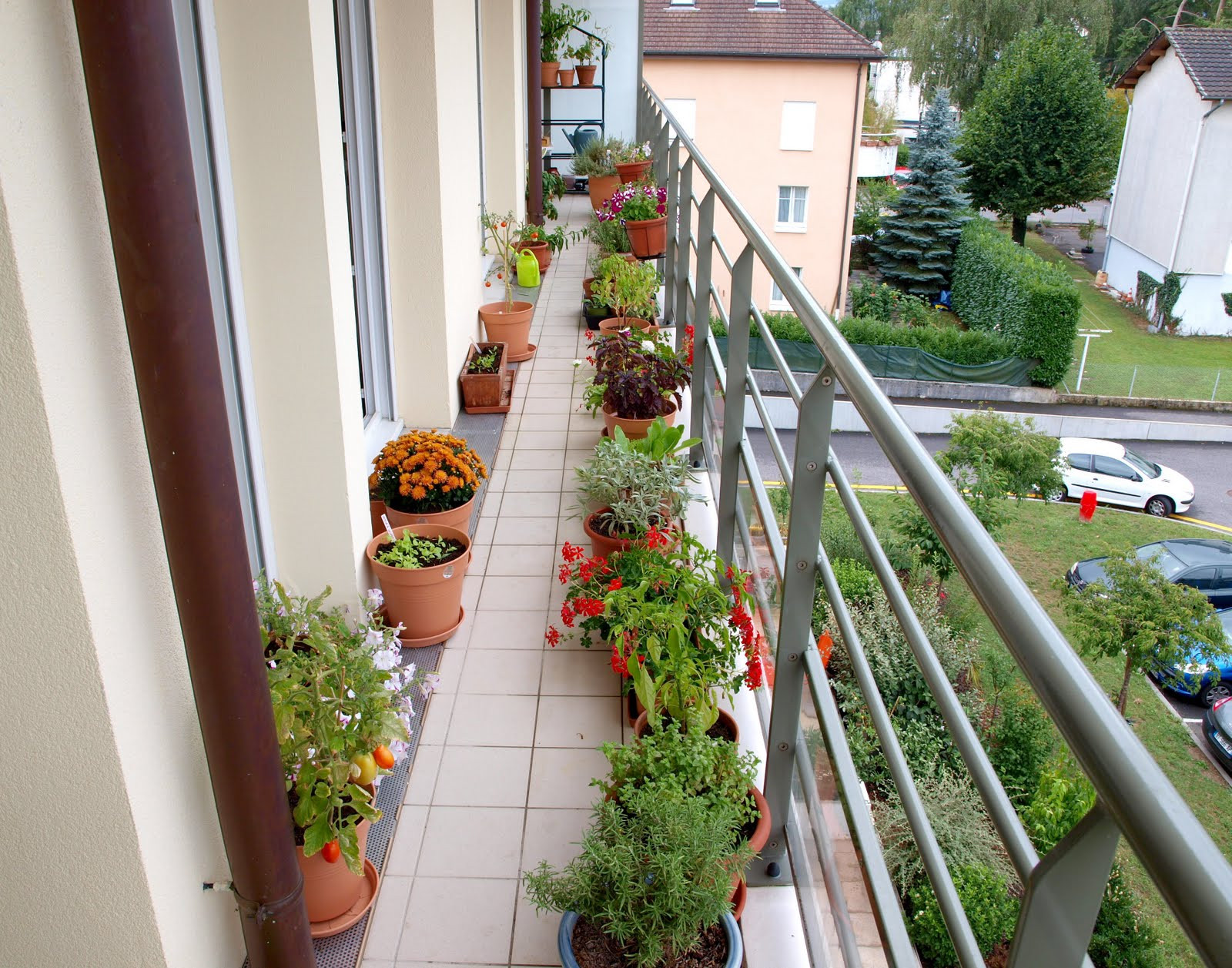 Green Balcony Ideas Urban Oasis Balcony Gardens that Prove Green is Always In