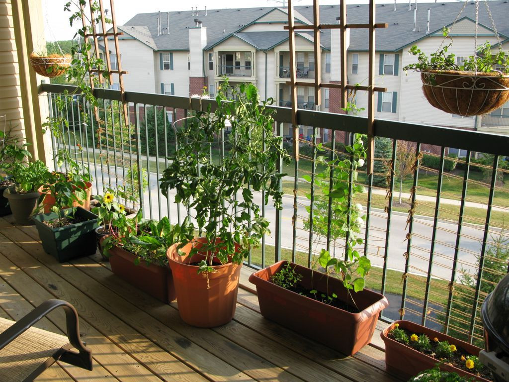 Green Balcony Ideas Urban Oasis Balcony Gardens that Prove Green is Always In