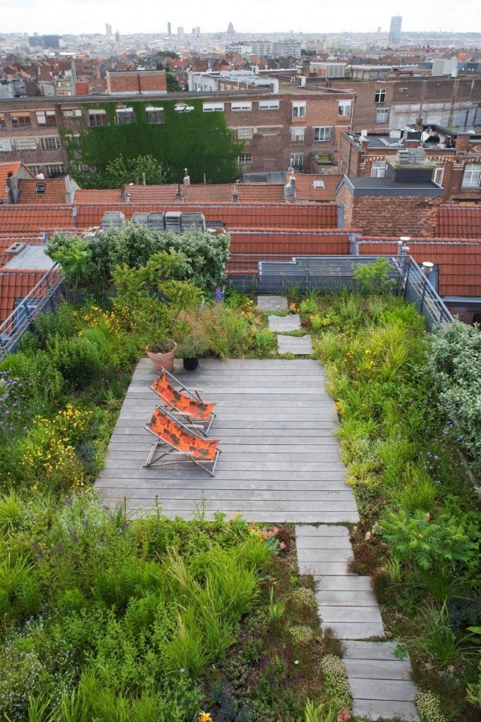 Rooftop Garden 17 Best Ideas About Roof Gardens On Pinterest