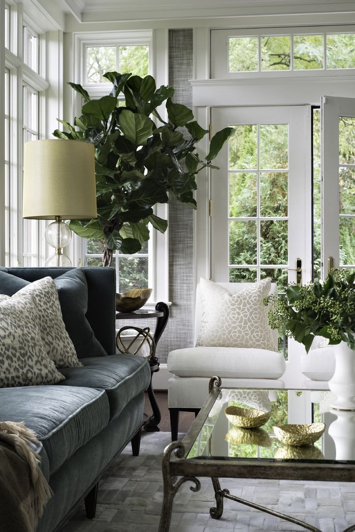 Modern Living Room Decorating Ideas Plant Classic Green White and Gray Living Room Filled with