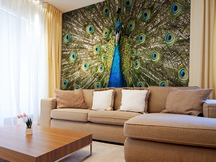 Peacock Decor for Living Room Decorating Living Room with Peacock Home Decor